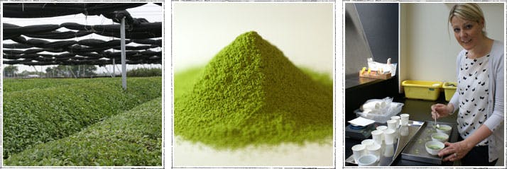Matcha Vs Green Tea Powder ?v=1567438629