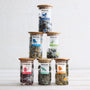 glass storage jar bundle